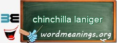 WordMeaning blackboard for chinchilla laniger